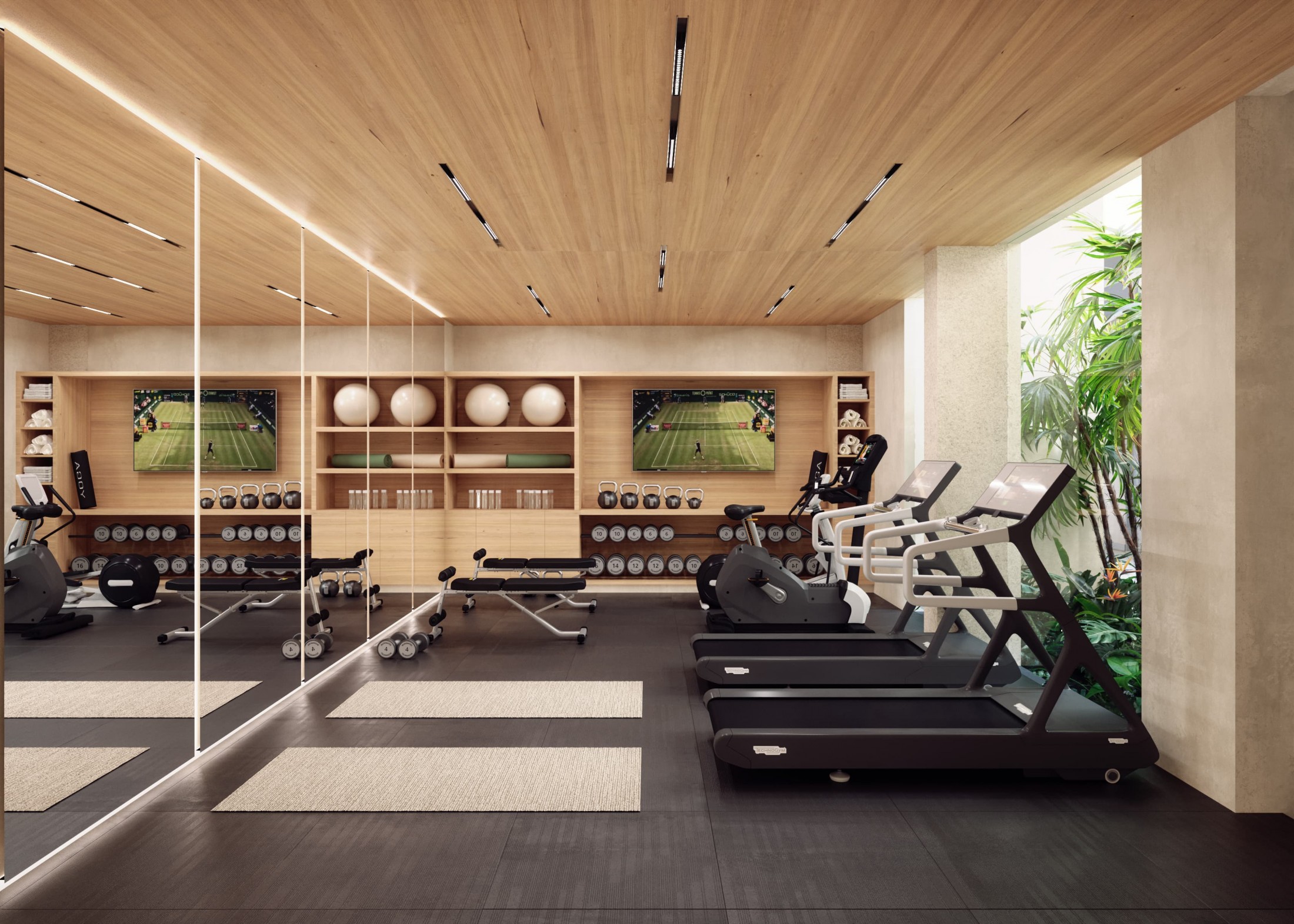 Gimnasio